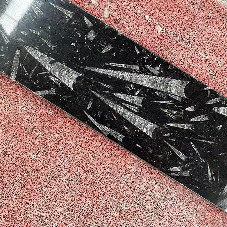Natural Polished Fossil Black Marble Window Sills
