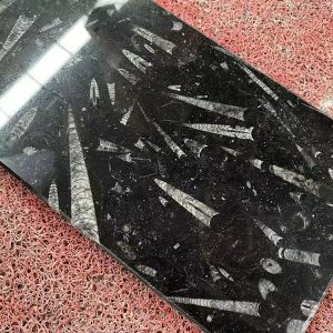 Natural Polished Fossil Black Marble Window Sills