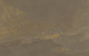 The Quiet Drama of Indian Black Slate