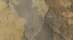 Ardoise d'Automne Indienne Indian Autumn Slate