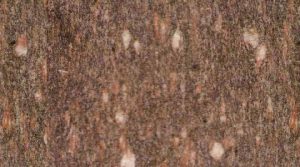 Pomegranate Red Granite