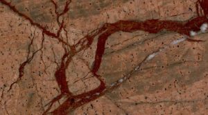 Rain Forest Brown Marble
